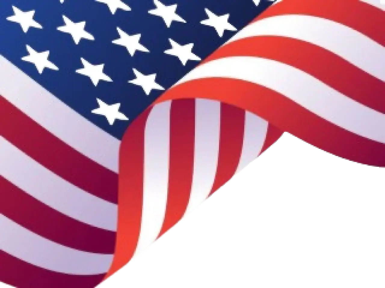 USA Flag